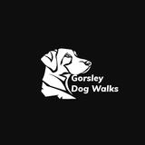 Gorsley Dog Walks - Dog Walkers in Ross-on-Wye