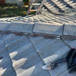 MJ Roof Painting - photo 3