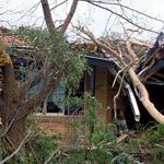 Metropolitan Temporary Fencing   - photo 1