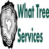 What Tree Services LLC - Tree Services in Haiku-Pauwela