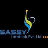 Sassy Infotech - Web Design & Development in Surat