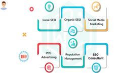 Law Firm SEO Marketing Kitchener - Marketing
