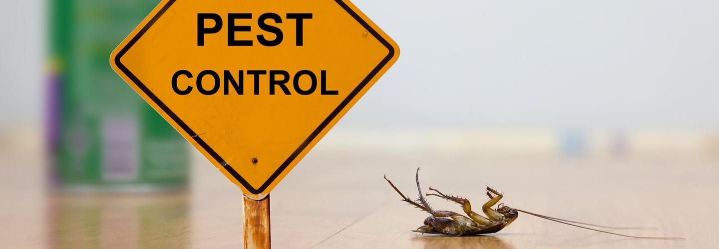 Natures Way Pest Control cover photo