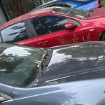 Get Cash for Cars Wollongong - photo 3