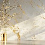 Sydney Venetian Plaster - photo 5