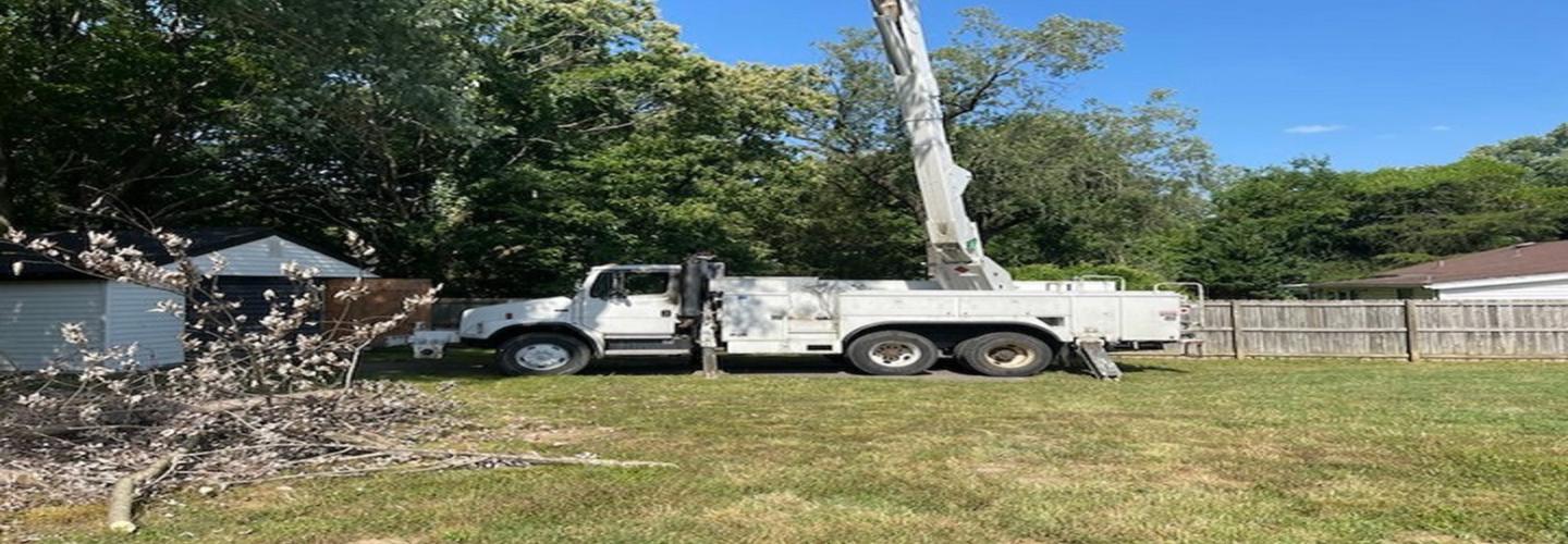 Full Tree Service Panama City cover photo