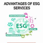 Venus Global Technology - photo 1