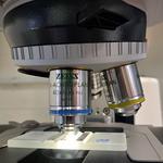 BBT Biotech - photo 2