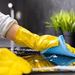 Art's House Cleaning Services - photo 2