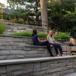 Sunshine Lawn Care and Landscaping - photo 4