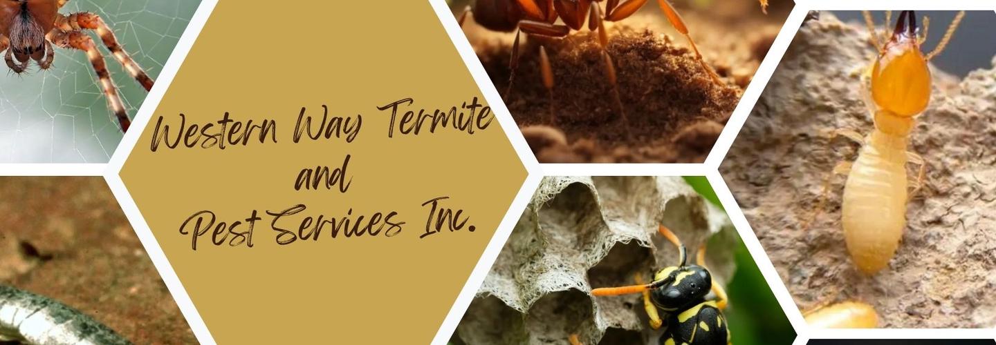 Western Way Termite and Pest Services Inc. cover photo