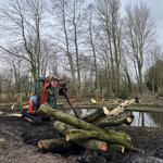 Tree Surgeon Southport  - photo 1