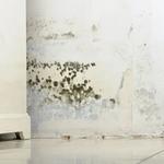 Rainbow Restoration of Waynesboro - photo 5