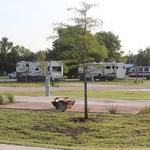 Hidden Grove RV Resort - photo 2