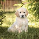 Nu Era Enterprises LLC - photo 5