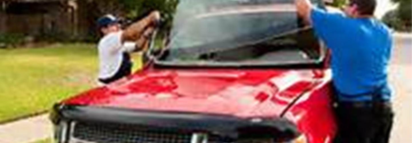 Dragon Fly Auto Glass cover photo