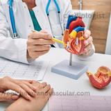 HEART, VESSEL AND VEINS - Health & Medical in Houston