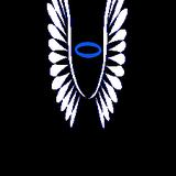 Yoo - Web Design & Development in Port St. Lucie