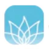 Patients Medical Wellness	