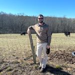 Dark Corner Cattle - photo 2