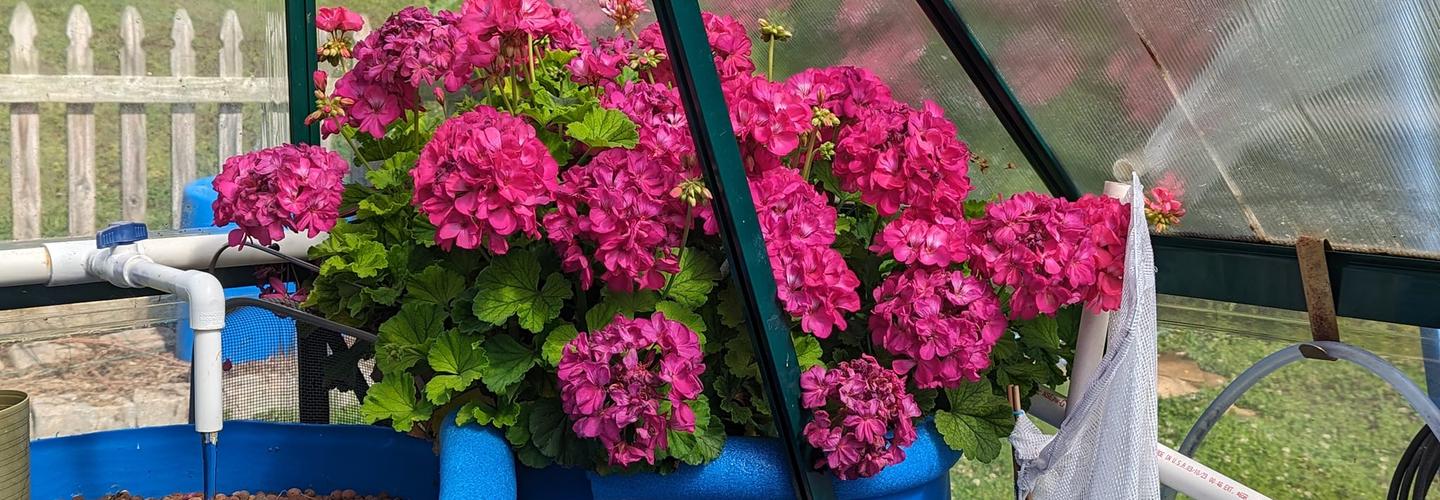 ElsoarEconomyHub cover photo