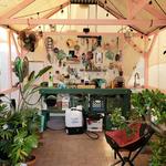 ElsoarEconomyHub - photo 1