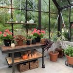 ElsoarEconomyHub - photo 4