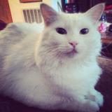 ElsoarEconomyHub - Bespoke Clothing in Edwards Air Force Base