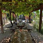 Clark Ferrea Winery - photo 2