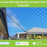 Kitty-Safe - photo 1