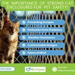 Kitty-Safe - photo 4