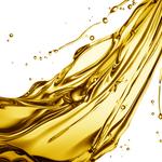 Allegheny Petroleum - photo 1