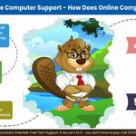 Brainy Beaver Online Computer Support - photo 3