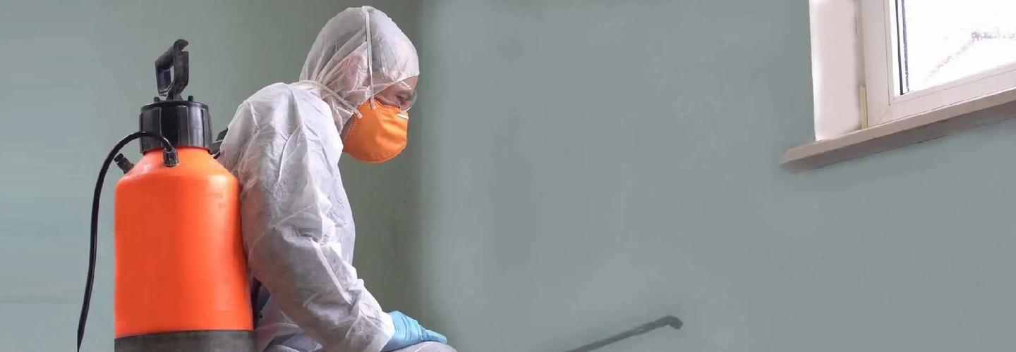 Fuktpatrullen Stockholm cover photo