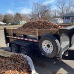 AJ's Helping Hand - photo 1