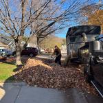 AJ's Helping Hand - photo 6