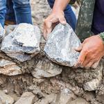 Sugar Land TX Masonry - photo 3