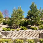Sugar Land TX Masonry - photo 5