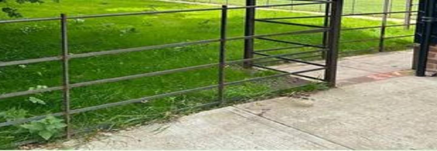 Estate Landscapes cover photo