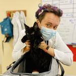 Grace Veterinary Center - photo 3