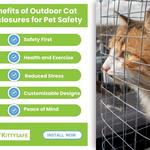 Kitty-Safe - photo 2