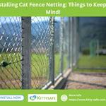 Kitty-Safe - photo 3