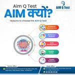 AIM Q Test  - photo 3
