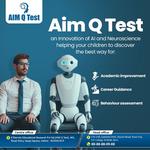 AIM Q Test  - photo 4