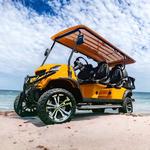 Cartiology Golf Cart Sales - photo 1