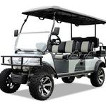 Cartiology Golf Cart Sales - photo 6