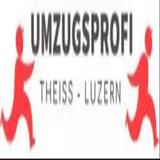 Umzugsprofi Theiss - Automotive in Lucerne