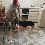 Red Truck Disaster Response - kuna ID - photo 3