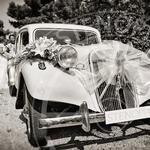 PHOTOGRAPHE MARSEILLE STENOPIA - photo 6