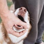 Law Offices of Alex Narayan  - photo 1